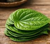 Fresh Betel Leaves